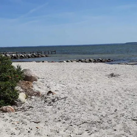 6 Person In Hejls-by Traum