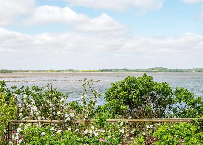 6 Person In Hejls-by Traum